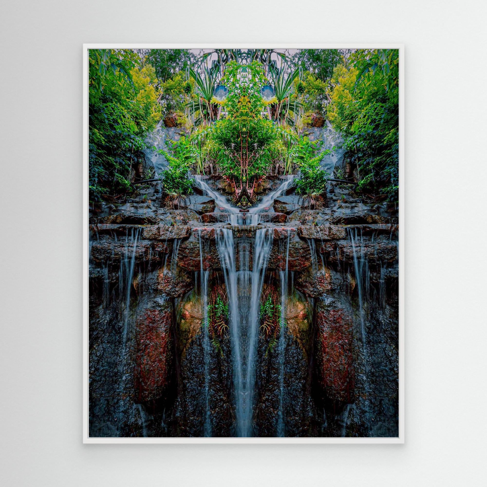 Forest 2