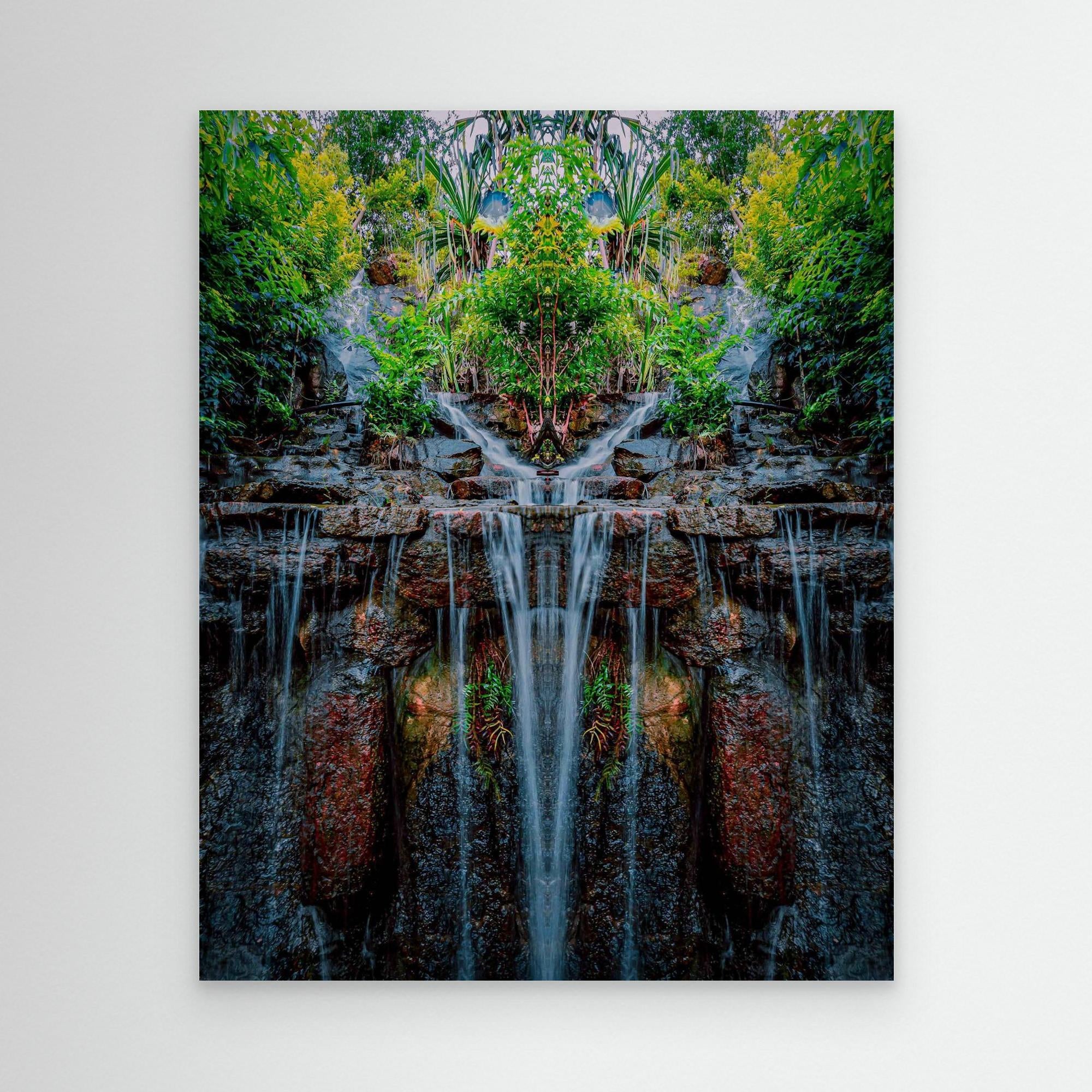 Forest 2