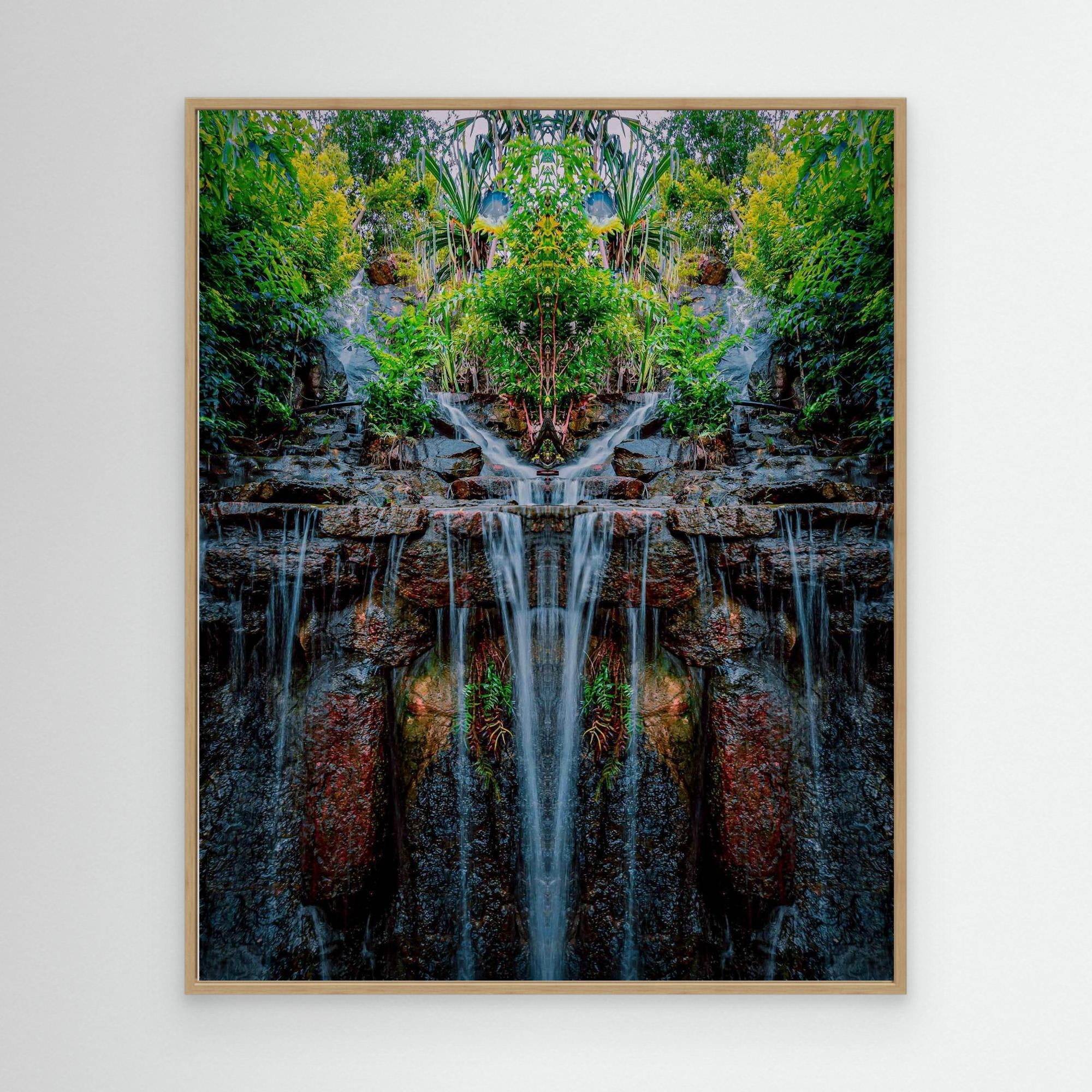 Forest 2