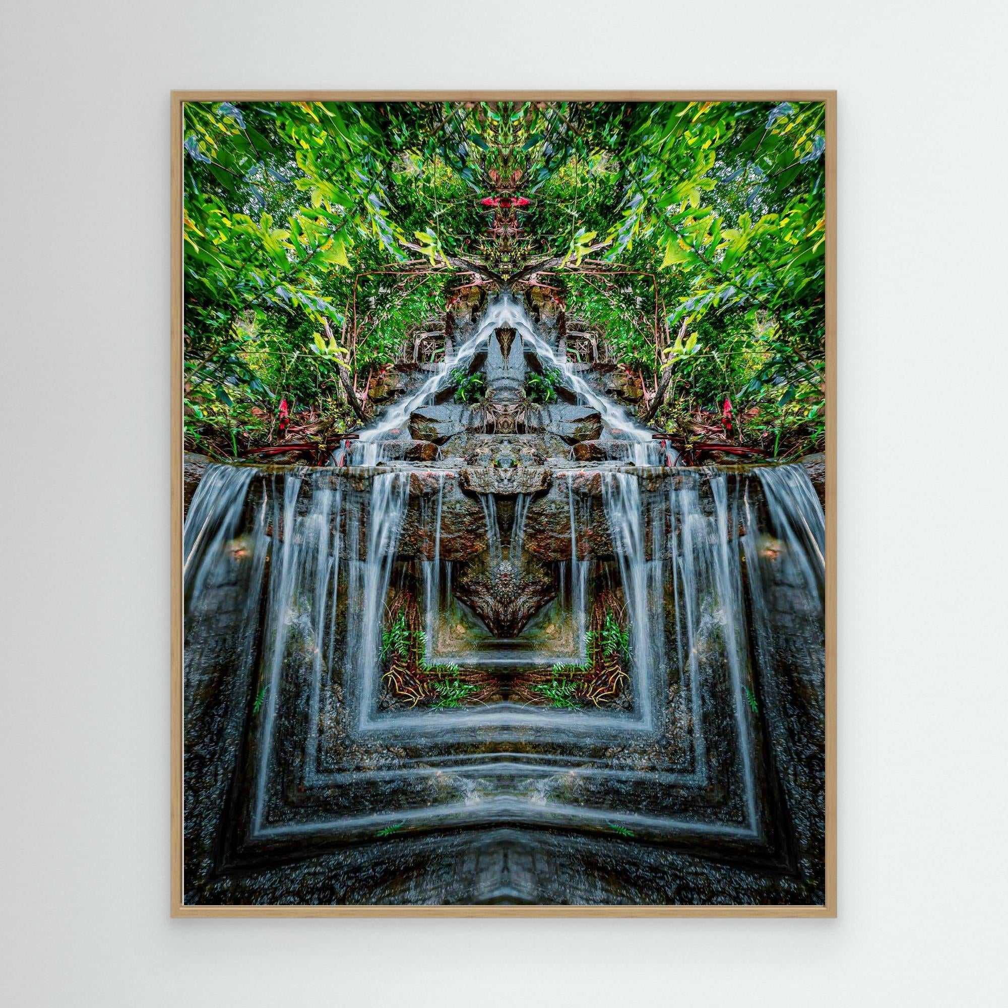 Forest 1