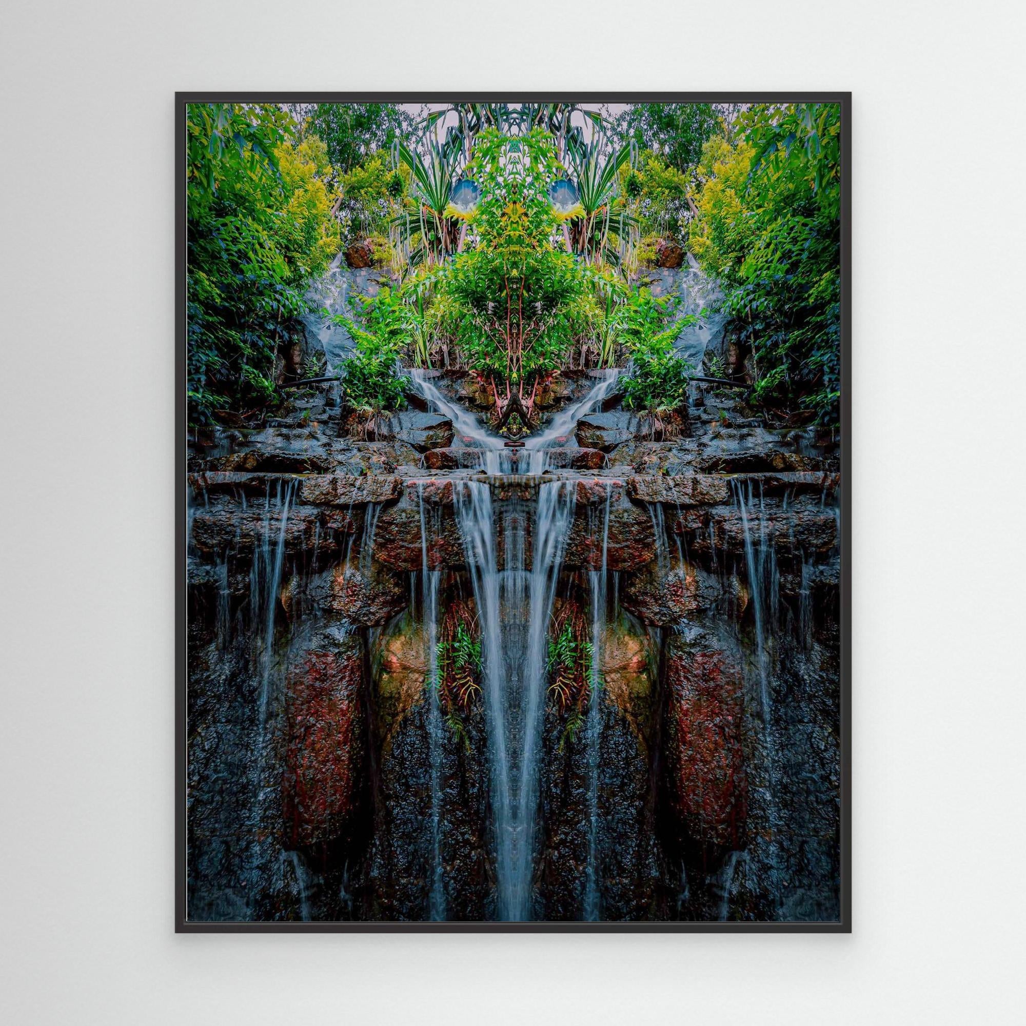 Forest 2