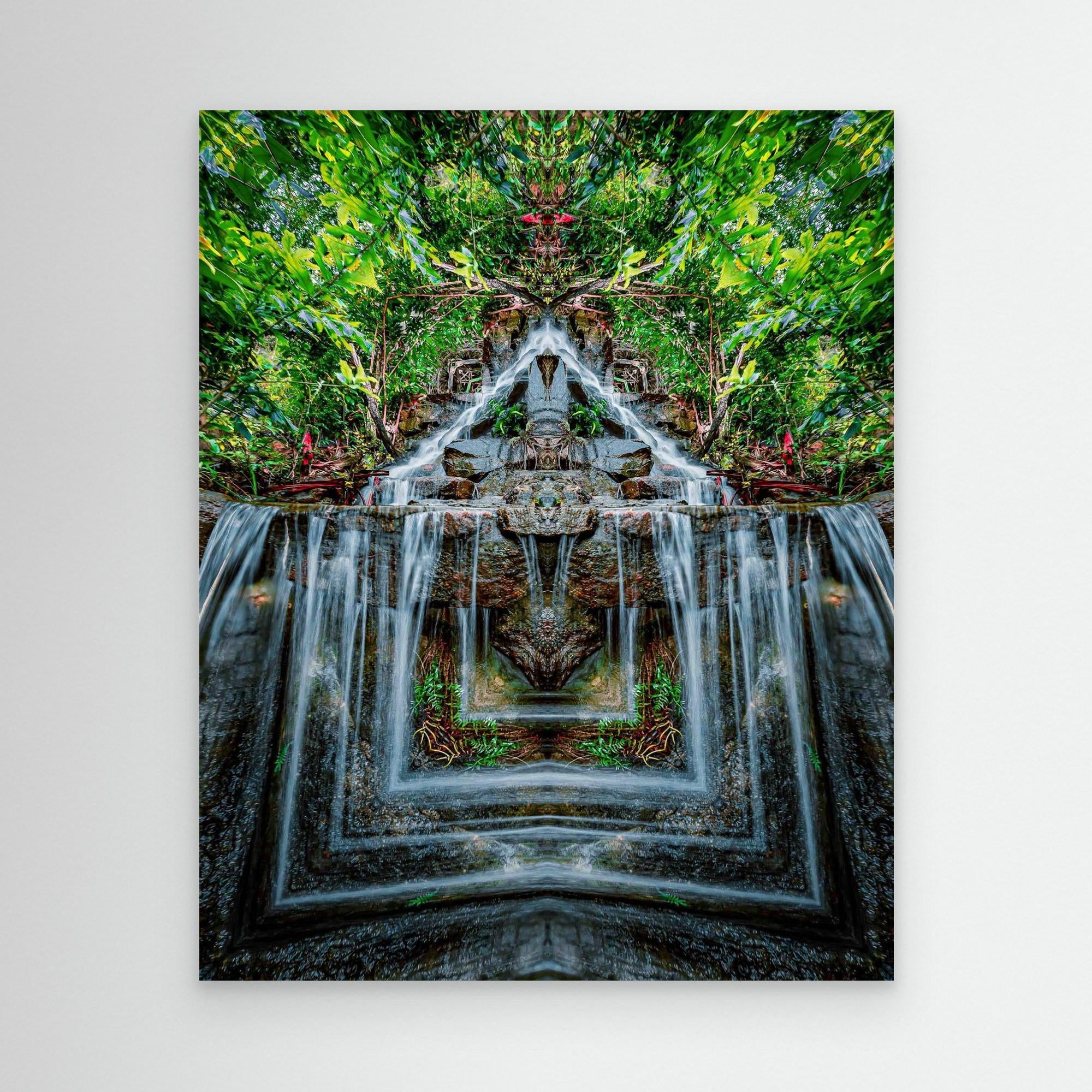 Forest 1