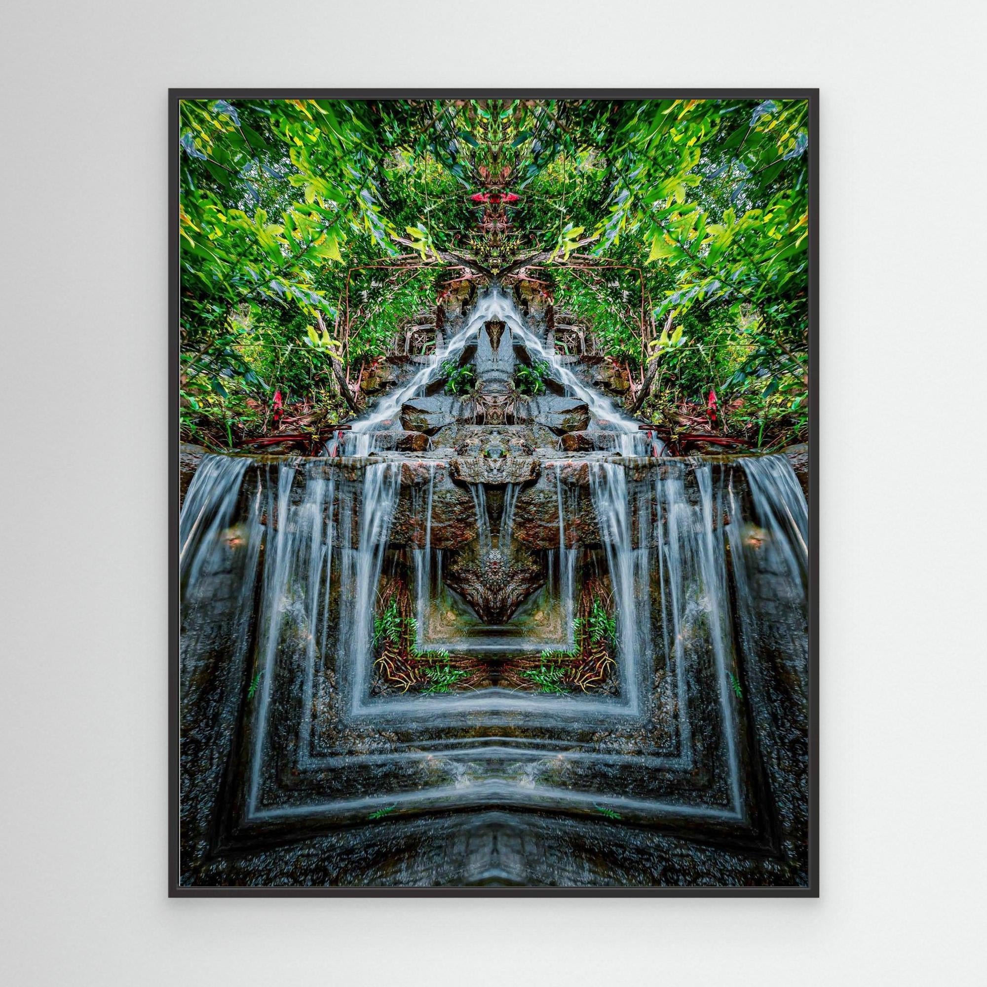 Forest 1
